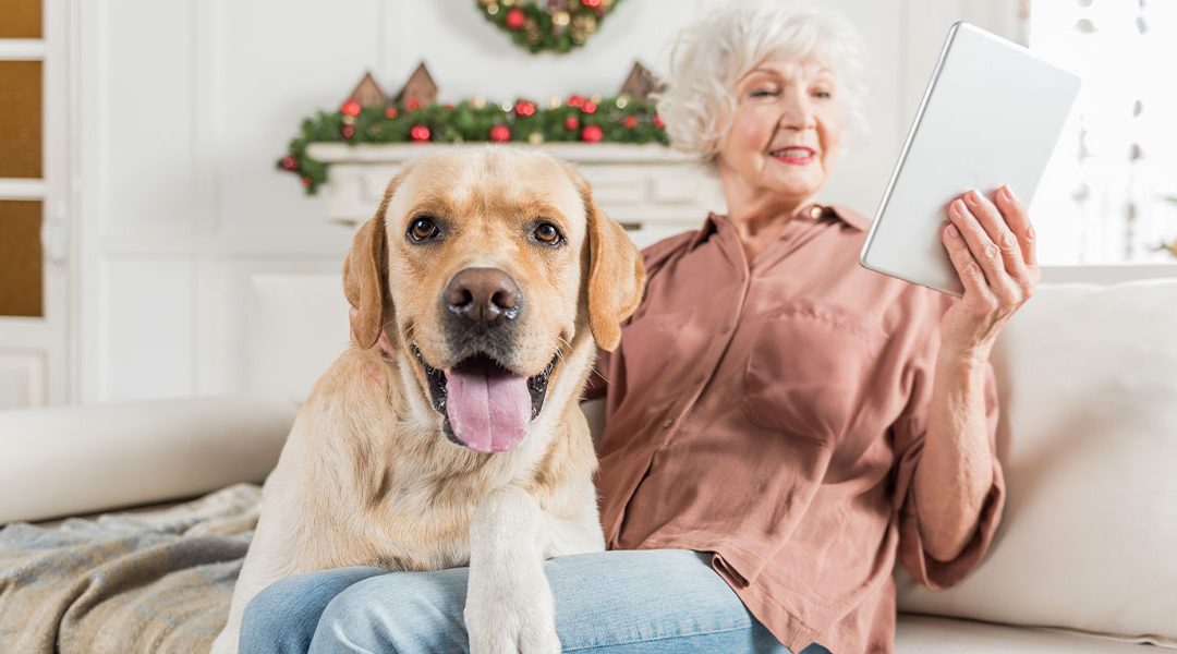 Pets and estate planning: Who will care for Fido when you’re gone?